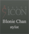 freelance stylist