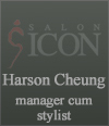 manager cum stylist